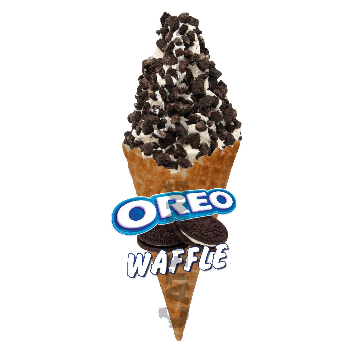 whatsapp image 2026 02 14 at 17.56.29