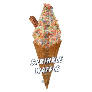 whatsapp image 2026 02 14 at 17.56.46